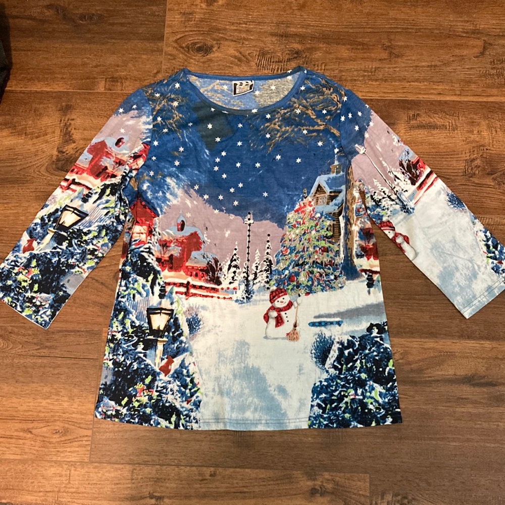 Holiday Scene top with sequins size s